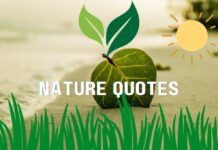 60 Inspiring Quotes About Nature